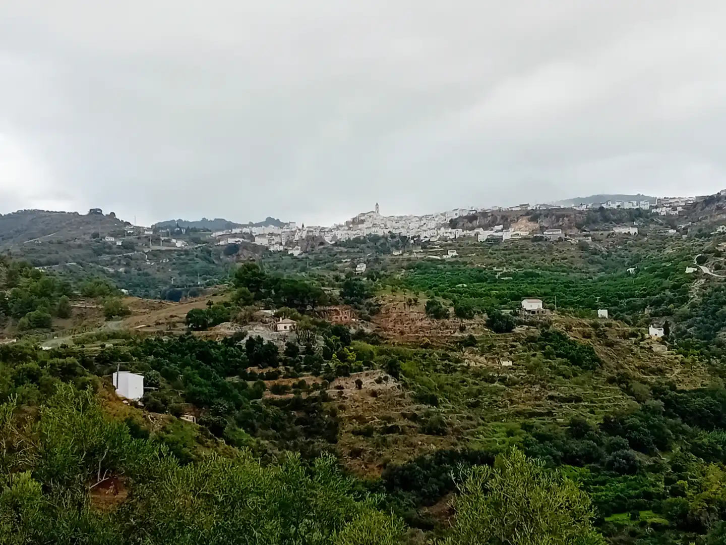 Terreni e lotti in vendita a Yunquera, imagen 15