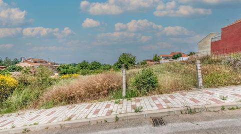 Photo 3 of Land for sale in Petunia, Las Flores, Valladolid