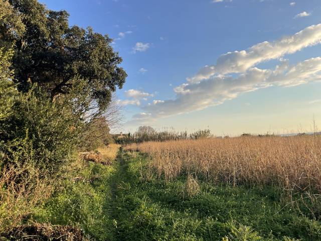 Terreno en Venta en Pinemar