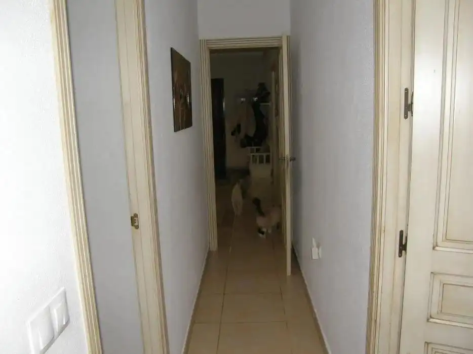 Country homes for sale in Chiclana de la Frontera  with Air Conditioner, Private garden and Terrace