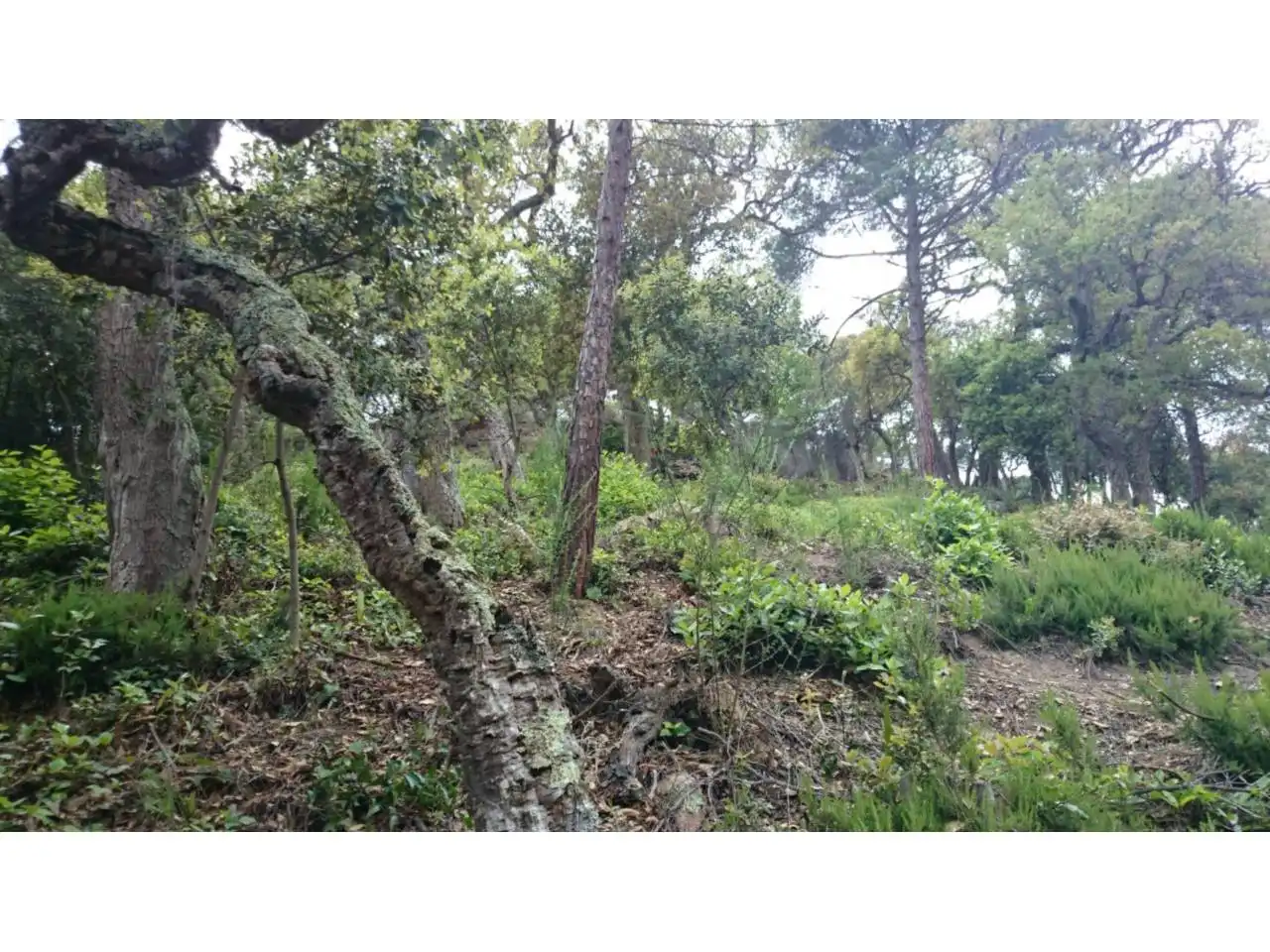 Terreny residencial en venda a Marsella, imagen 2