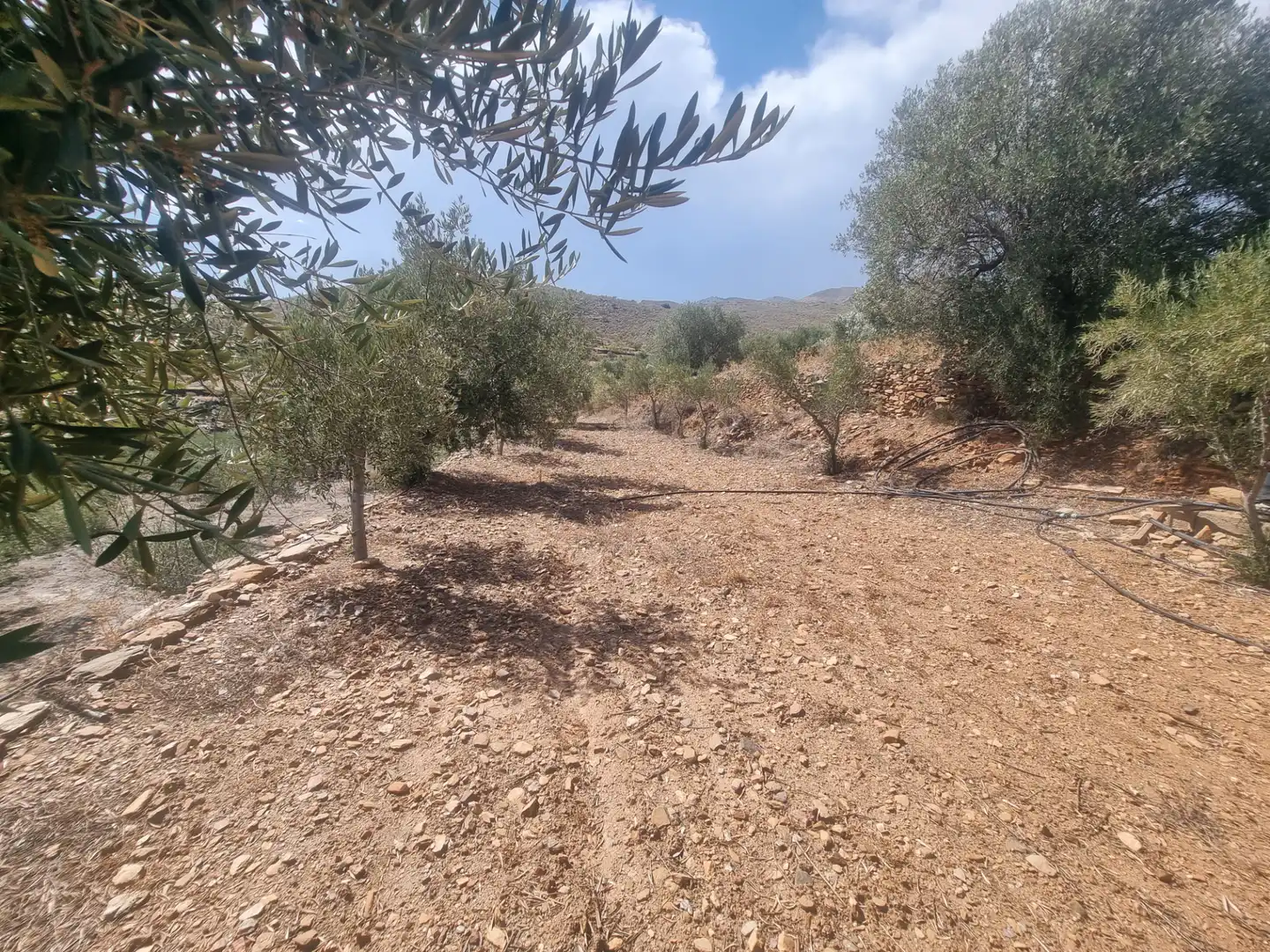 Terreno en venta en Senés