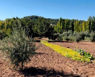 Garden of Country house for sale in Torre del Compte