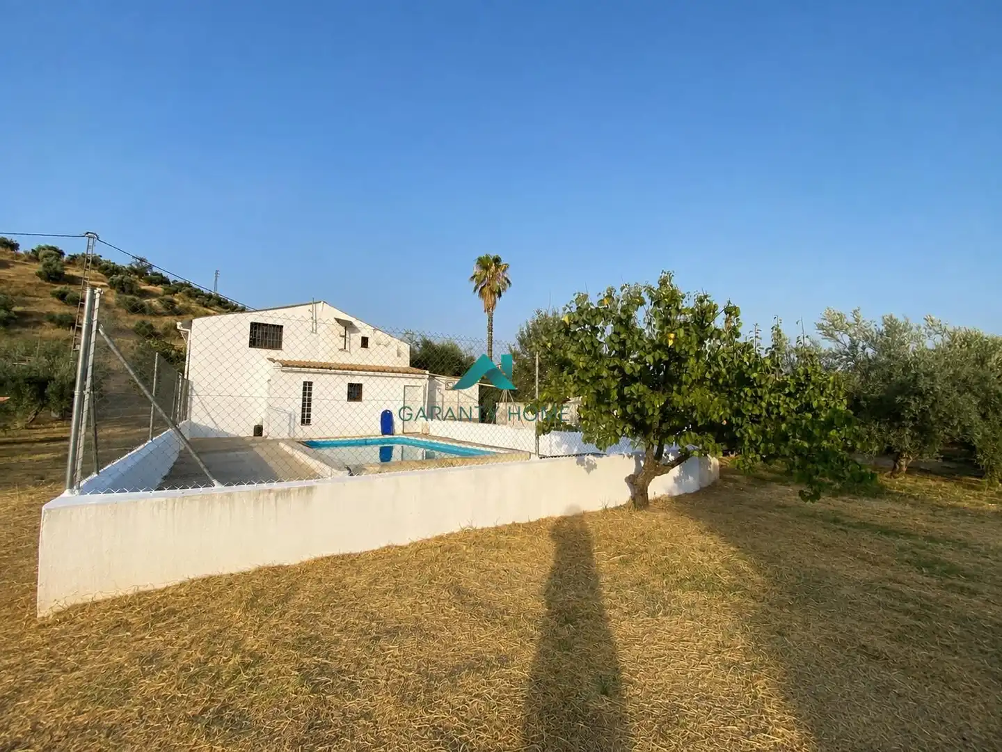 Vista exterior de Casa o xalet en venda en Alcaudete amb Jardí privat, Traster i Piscina