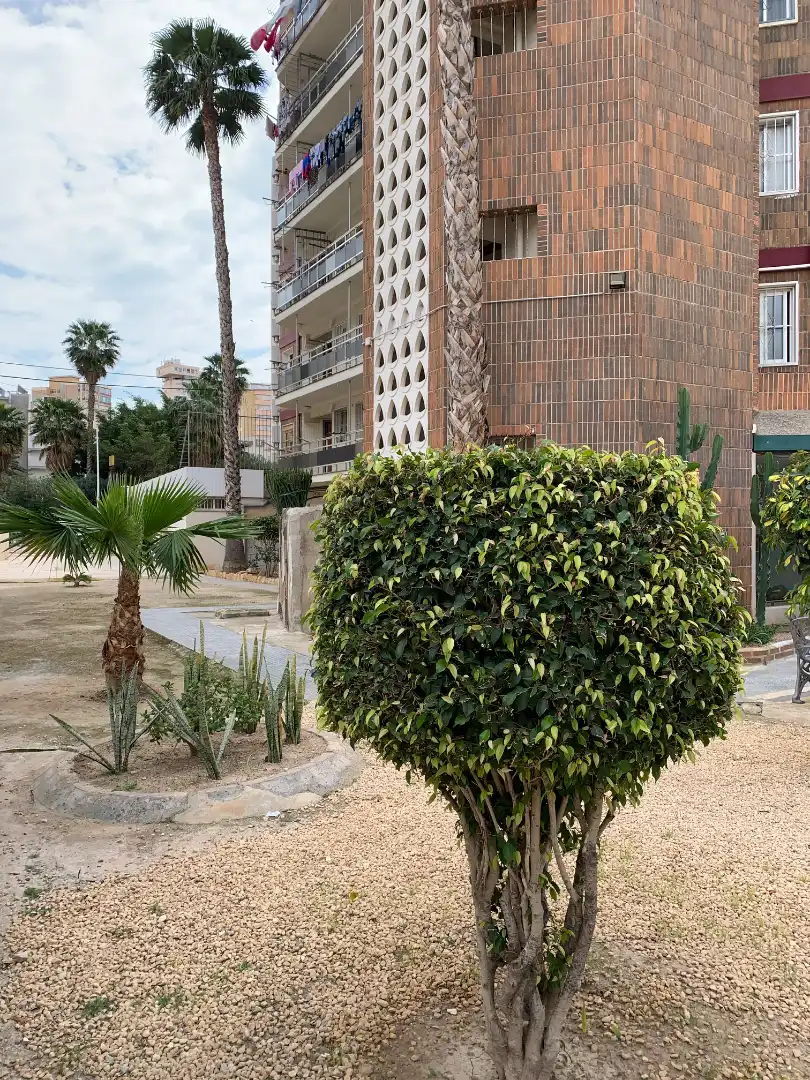 Außenansicht von Wohnungen zur Miete in Benidorm mit Klimaanlage, Heizung und Terrasse