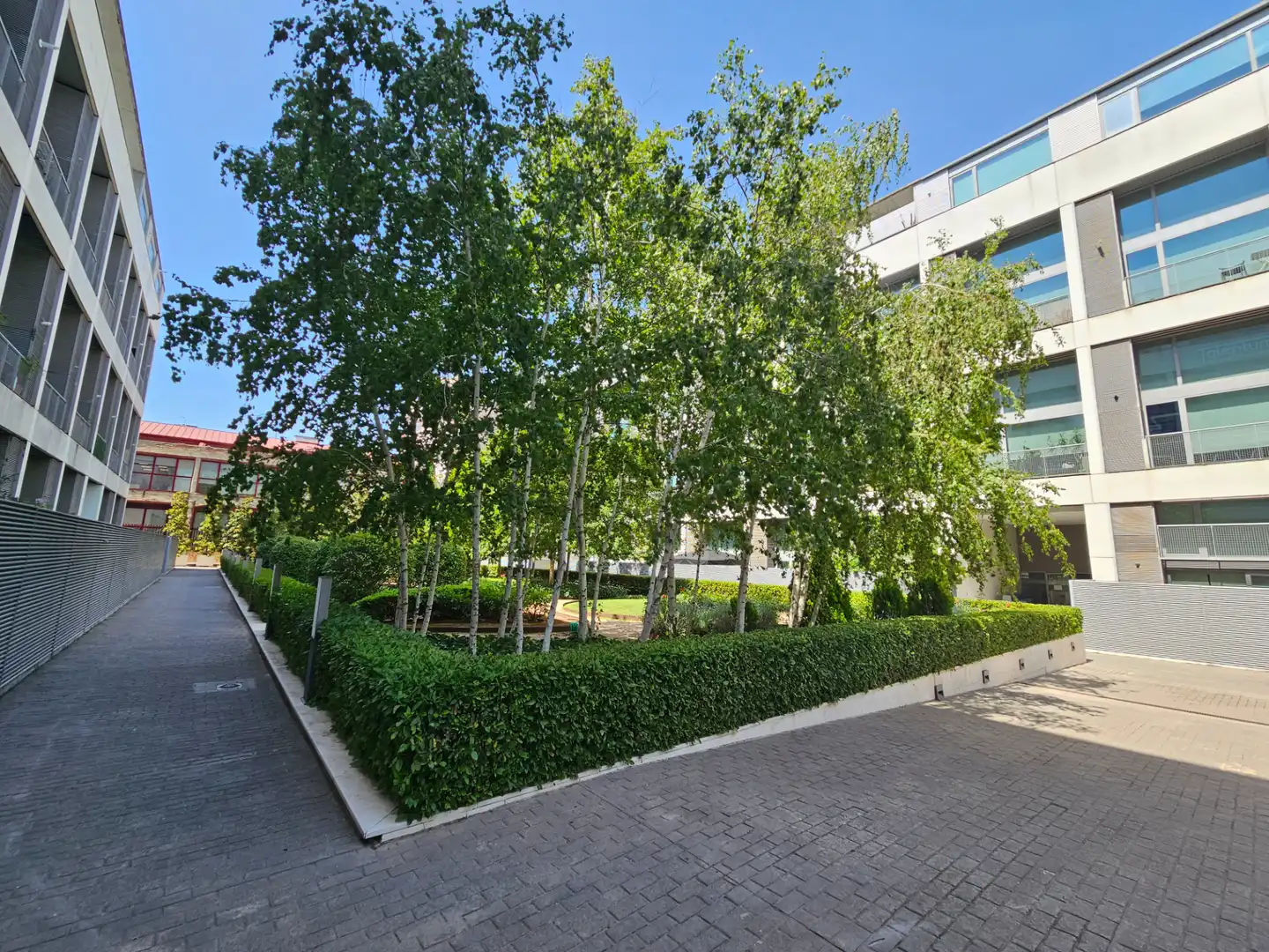 Vista exterior de Loft en venda en Madrid amb Aire condicionat, Calefacció i Jardí privat