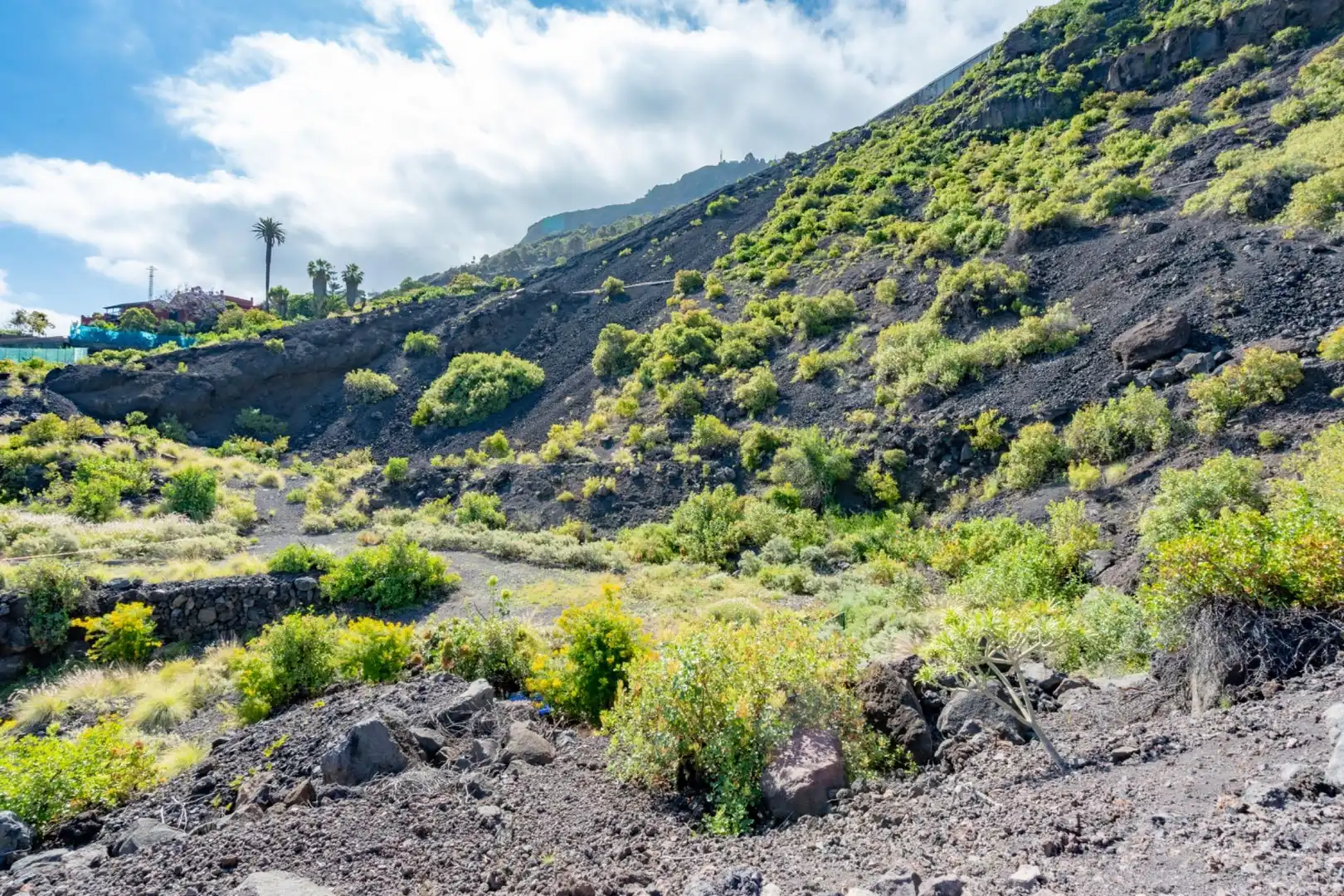Außenansicht von Residential zum Verkauf in Garachico
