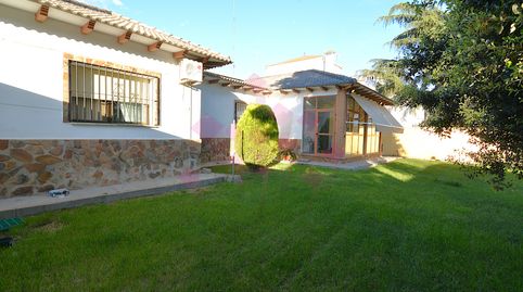 Photo 3 of Houses for sale in Ronda de Occidente, 16, Picón, Ciudad Real