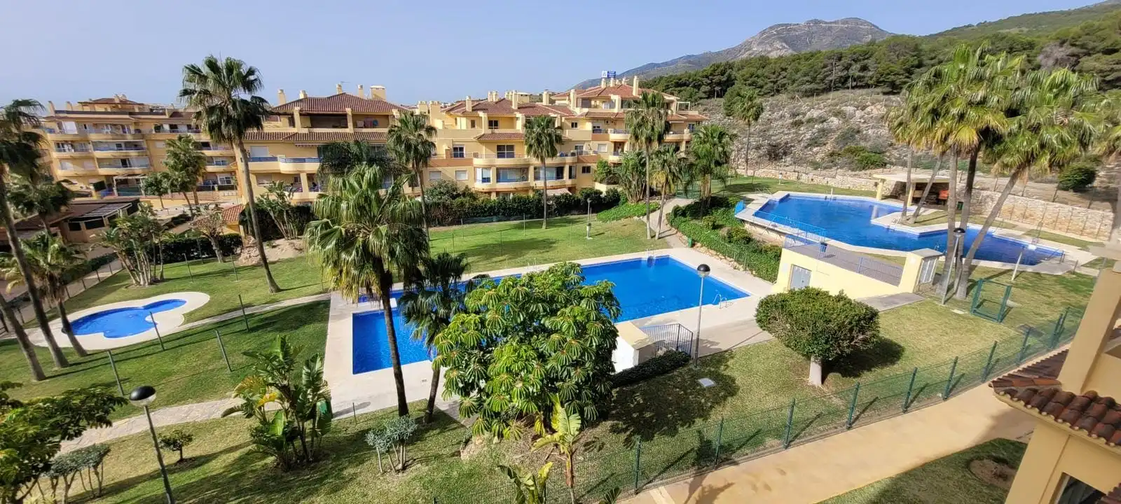 Apartamento con piscina en alquiler en Calle Vicente Blanch Picot 2, imagen 3