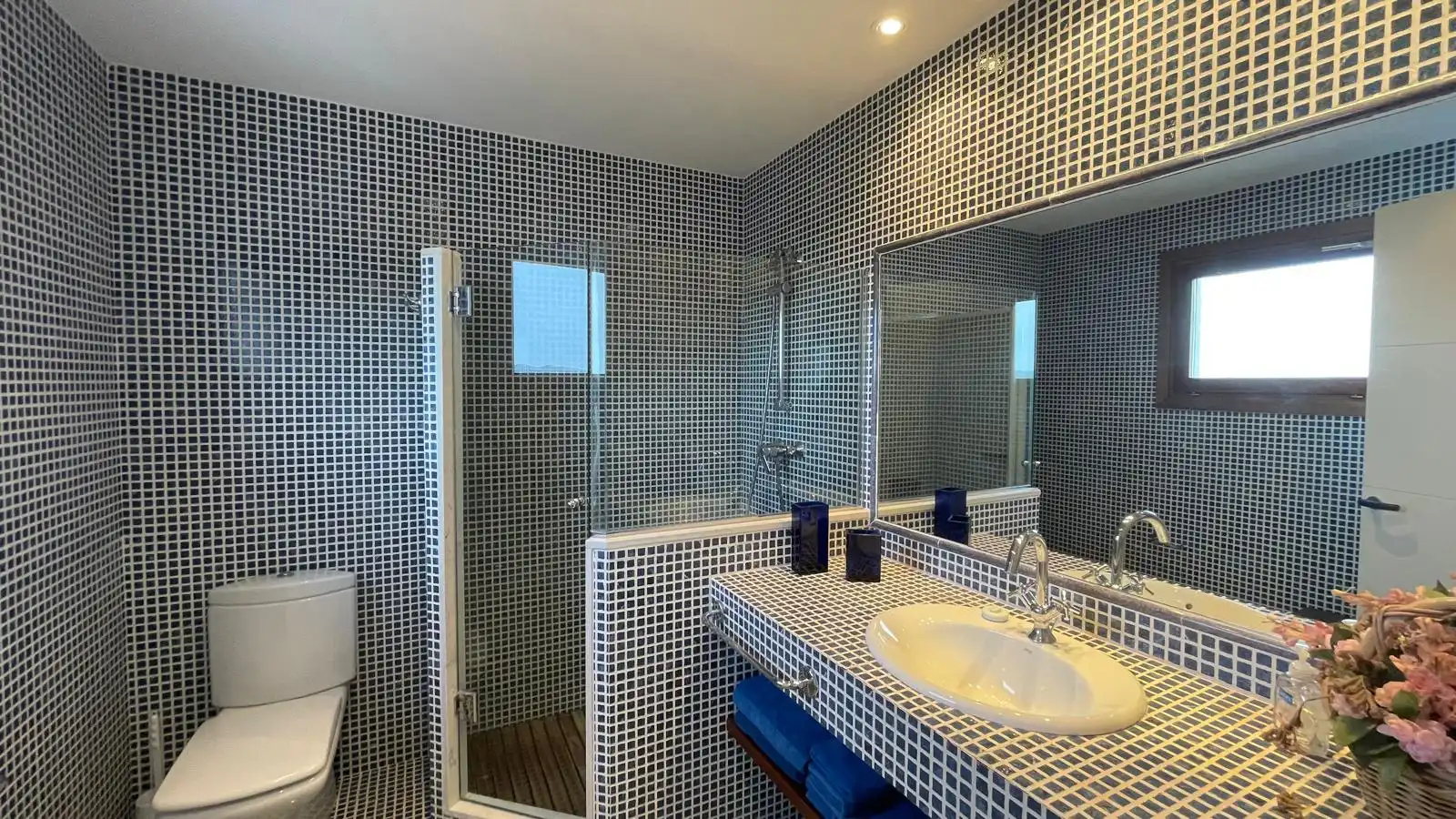 Bany de Casa o xalet en venda en Palafrugell amb Jardí privat, Terrassa i Traster