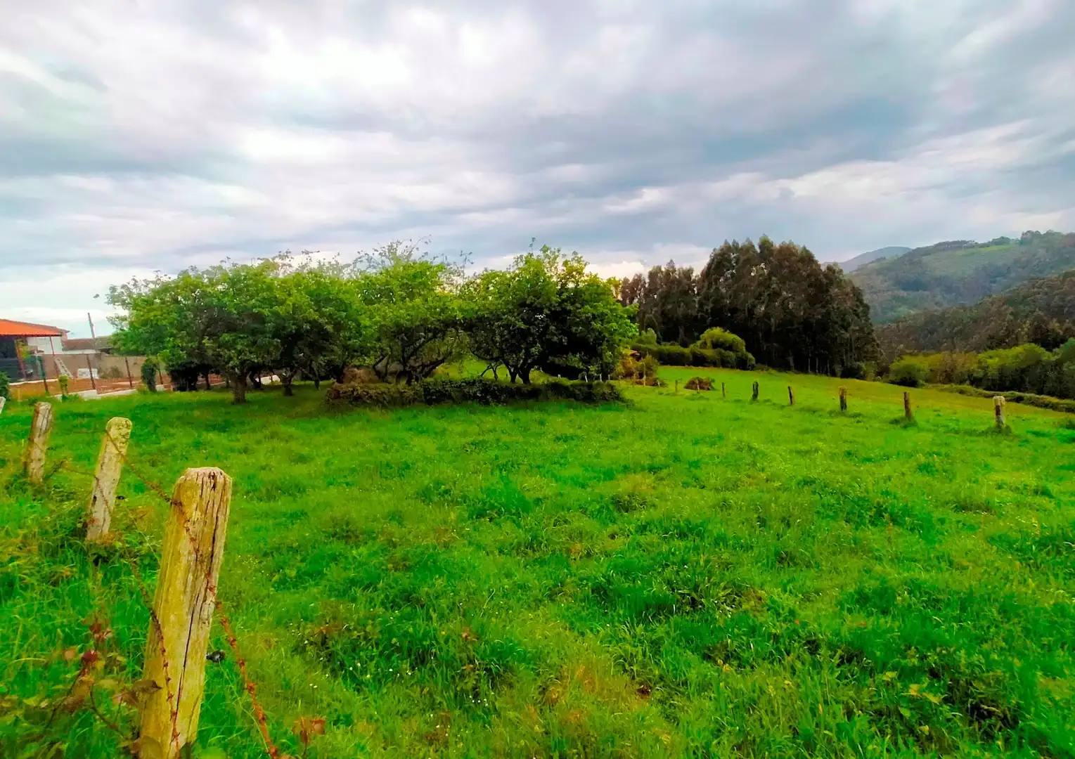 Terreni e lotti in vendita a Pravia