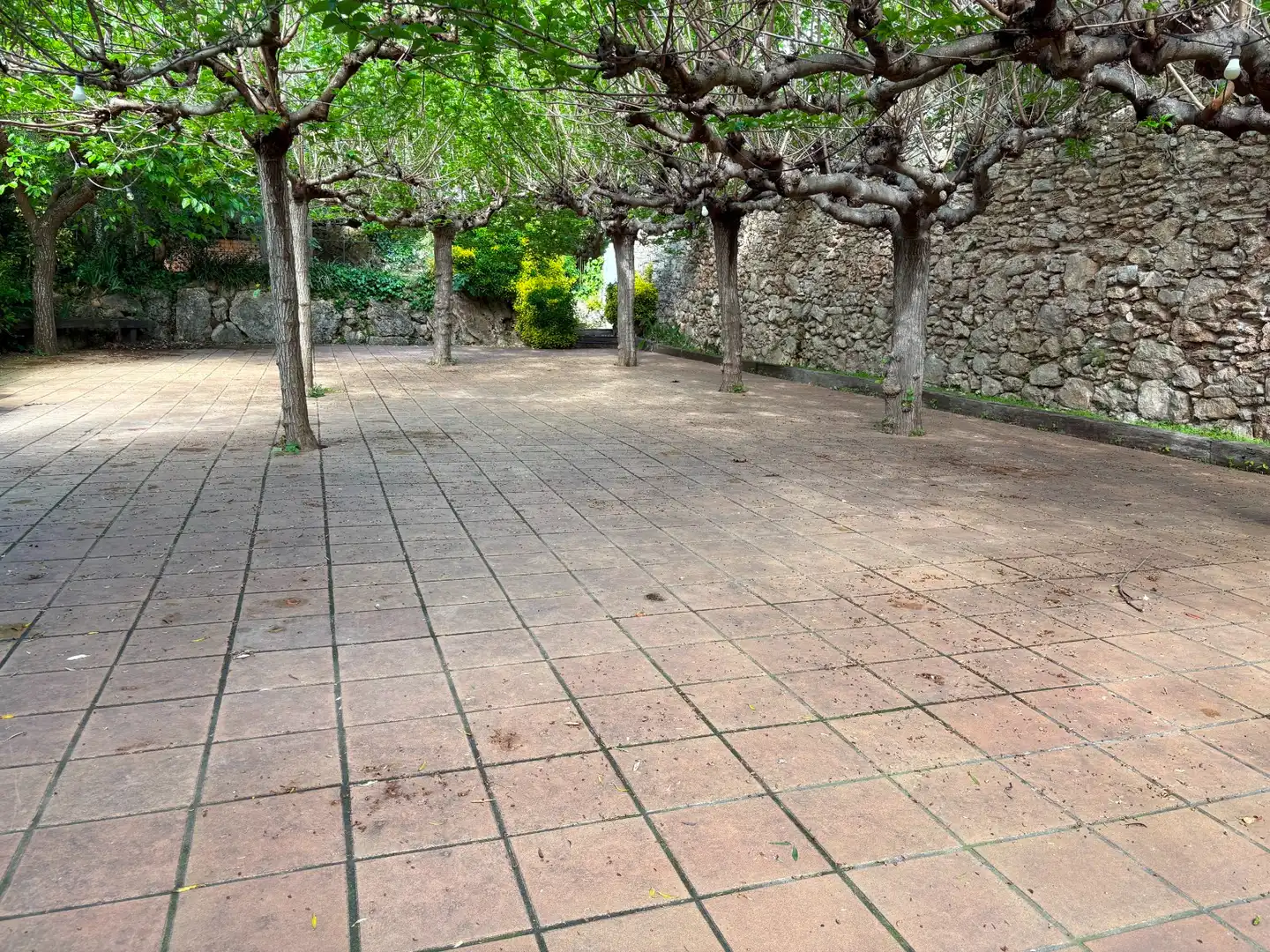 Business premises for sale in Vallirana, imagen 25