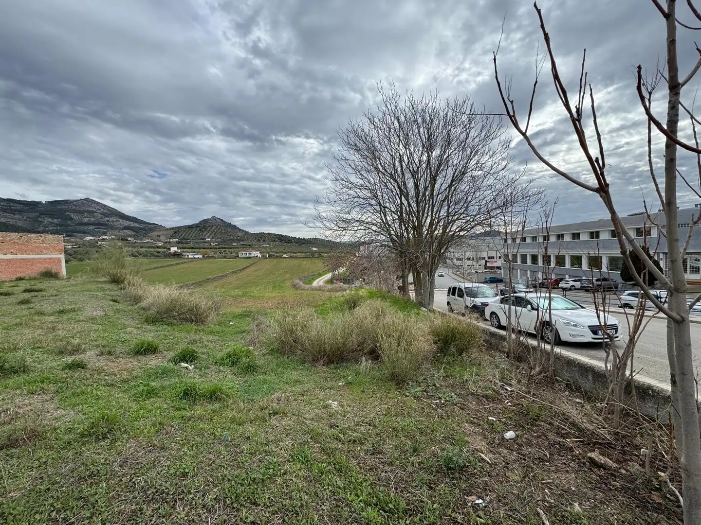 Terreni e lotti in vendita a Calle Jaén 2