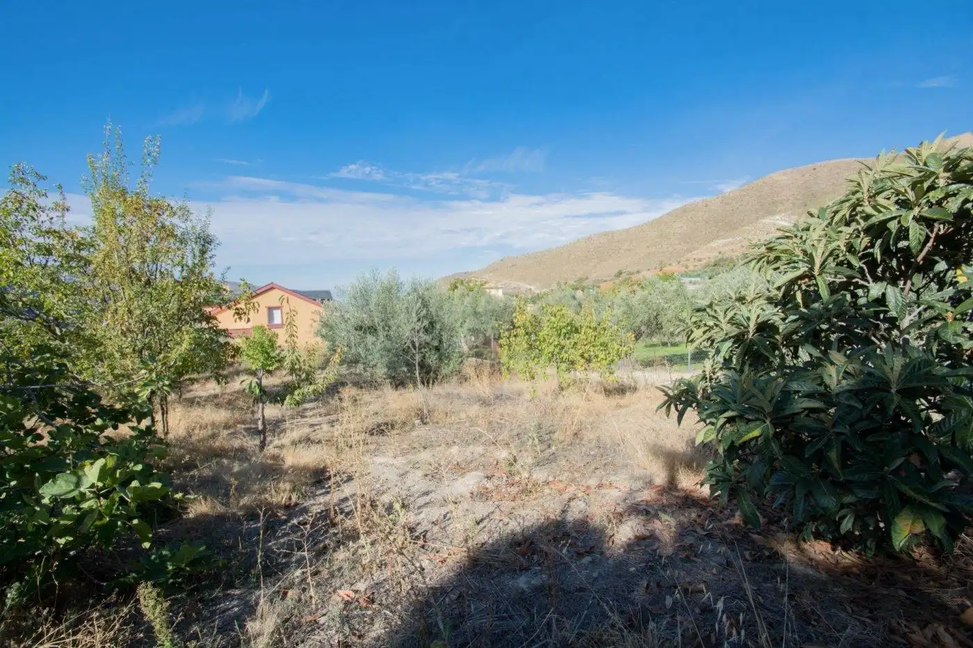 Villa con terrazza in vendita a Calle Fuente 16 Caños, imagen 59