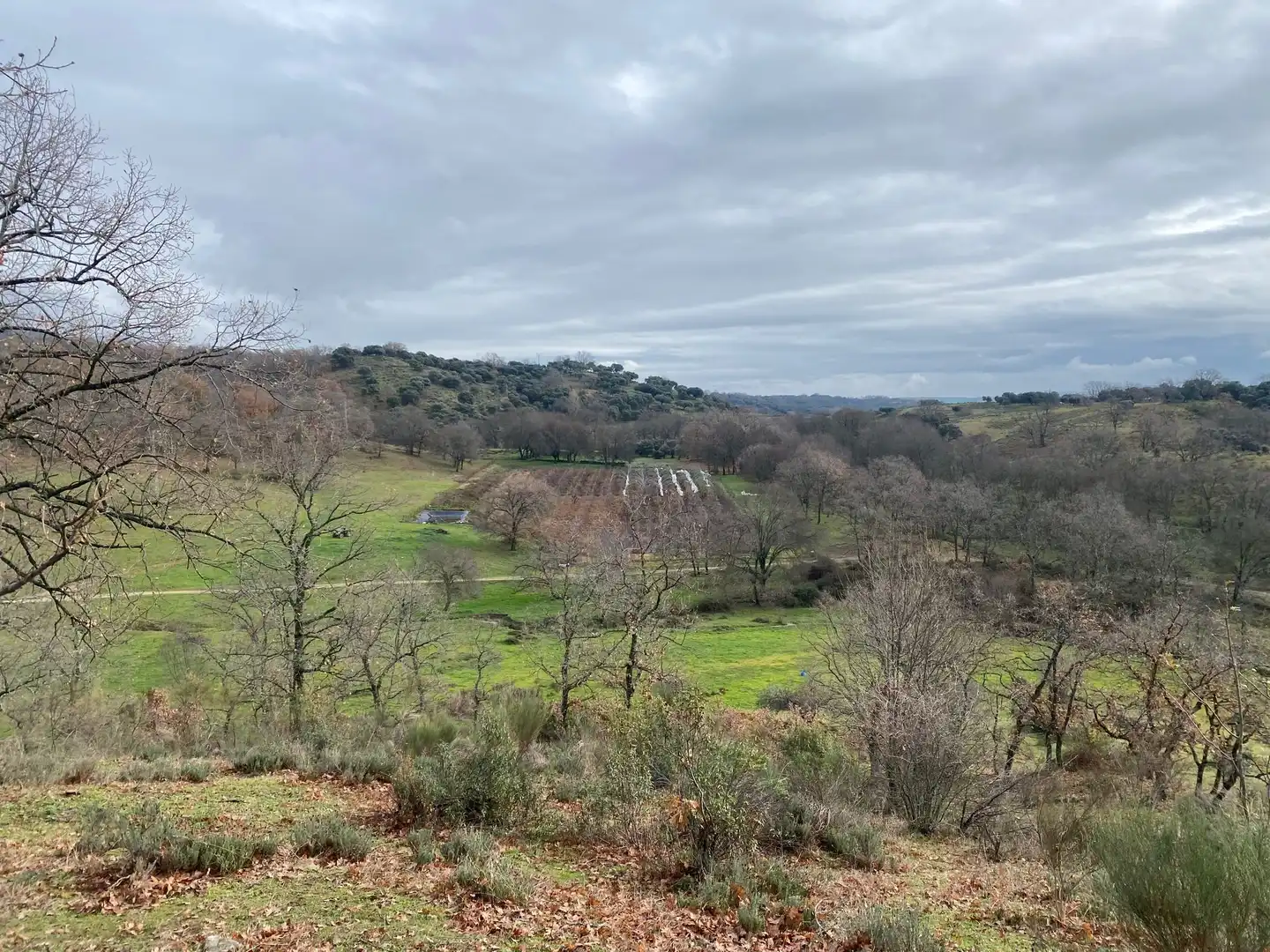 Terreni e lotti in vendita a Candeleda, imagen 32