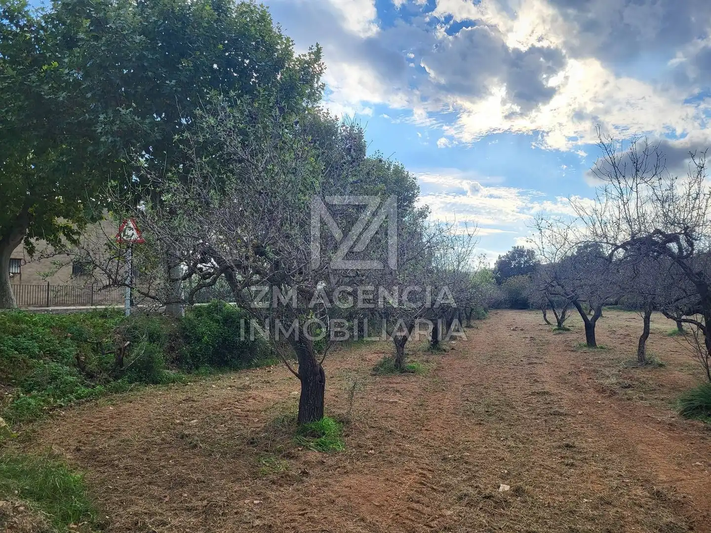 Terreno rustico in vendita a Traiguera, imagen 6