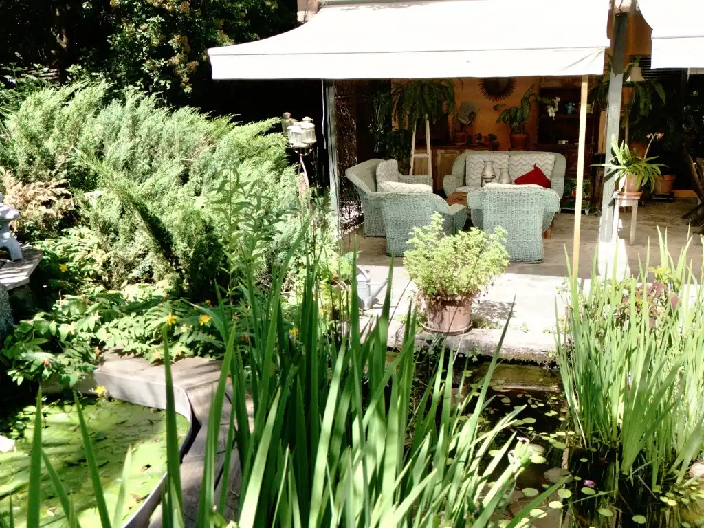 Jardí de Casa o xalet en venda en Ciudalcampo