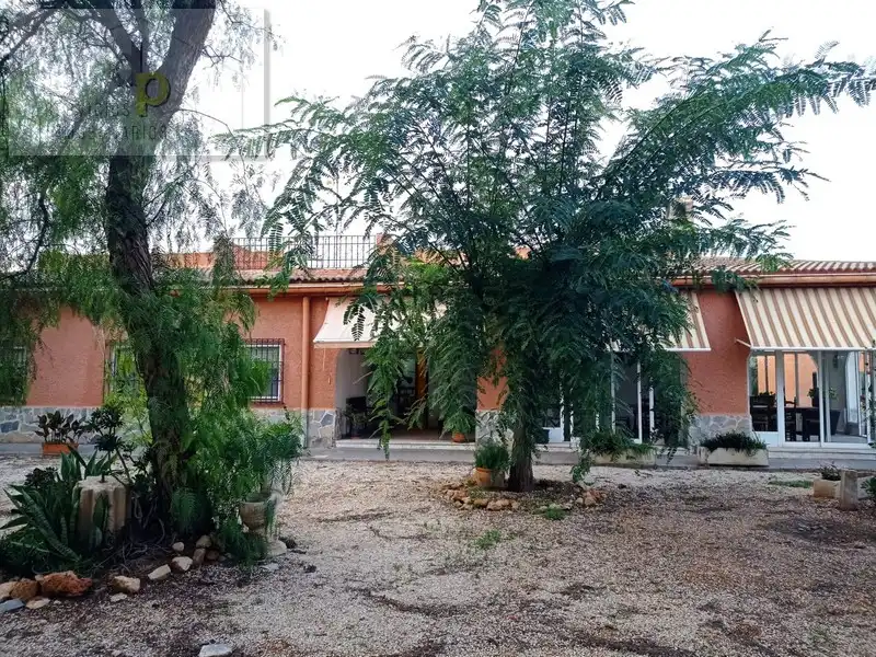 Vista exterior de Casa o xalet en venda en Elche / Elx amb Jardí privat, Terrassa i Traster