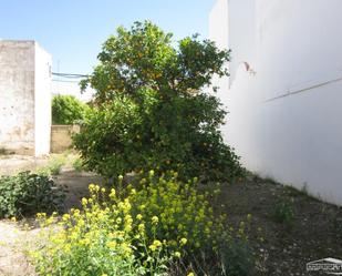 Jardí de Casa o xalet en venda en Lucena amb Terrassa i Traster