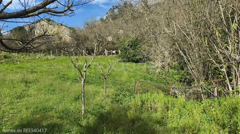 Foto 4 de Casa o chalet en venta en N/a, Peñamellera Alta, Asturias