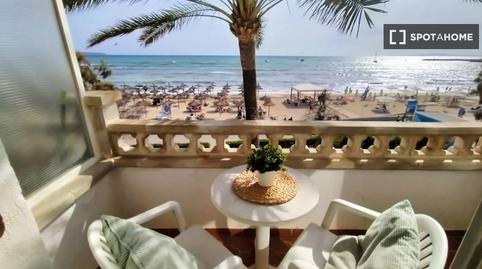 Photo 4 of Study to share in Can Pastilla, Illes Balears