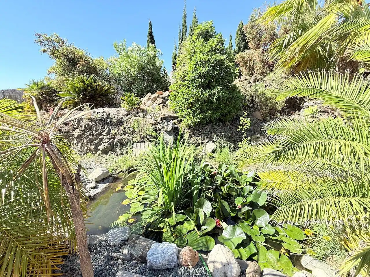 Jardí de Casa o xalet en venda en Frigiliana amb Aire condicionat, Calefacció i Jardí privat