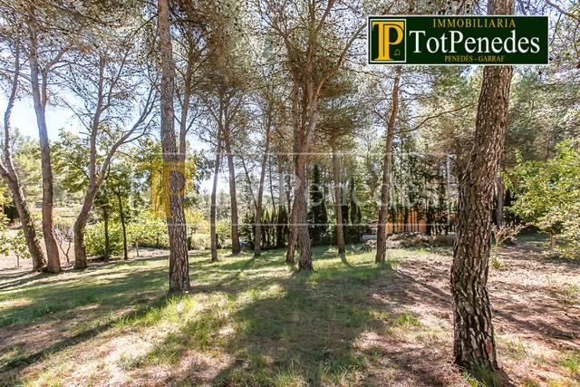 Terreno residencial en Venta en Carrer David en Querol