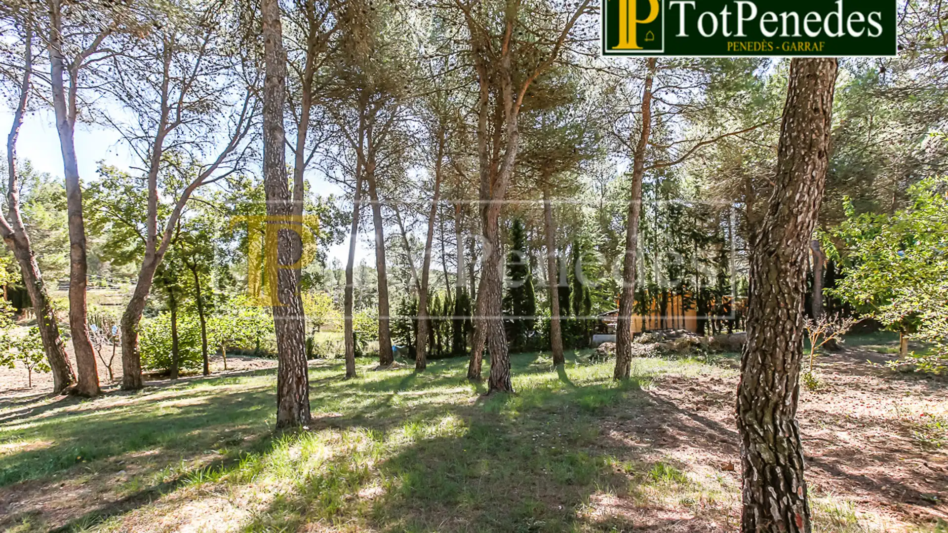 Residencial en venta en Querol