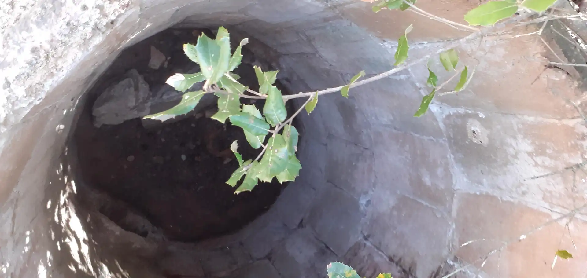 Garden of Land for sale in Alforja
