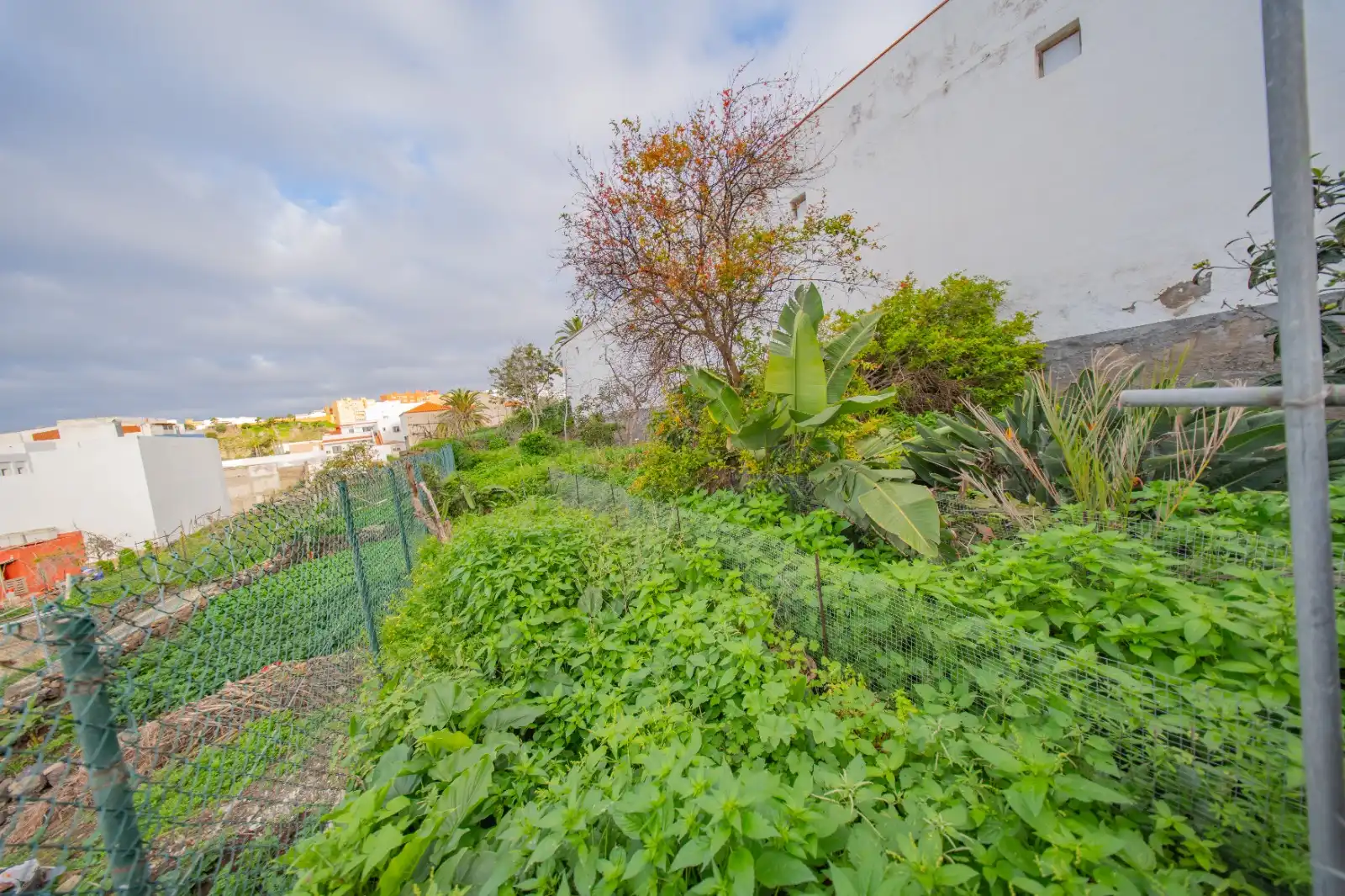 Jardí de Casa adosada en venda en Icod de los Vinos amb Terrassa, Traster i Balcó