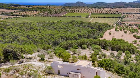 Foto 4 de Finca rústica en venda a Felanitx Poble, Felanitx