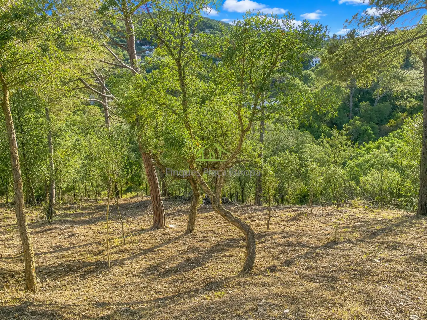 Terrenys i solars en venda a Mas Pere - Río de Oro, imagen 5