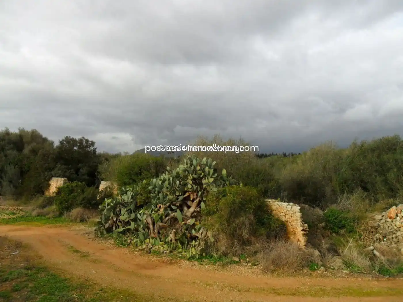 Casa o chalet en venta en Inca