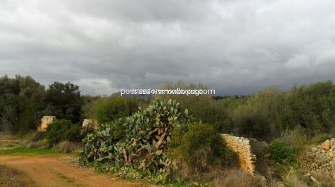 Foto 5 de Casa o chalet en venta en Zona Periurbana, Inca
