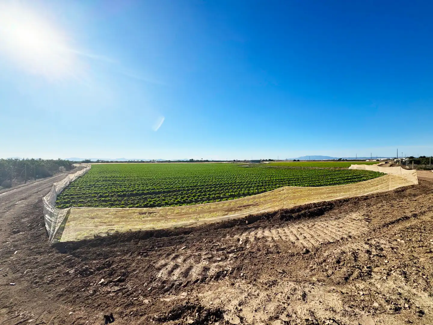 Lands and plots for sale in Diseminado Meroños 175, imagen 4