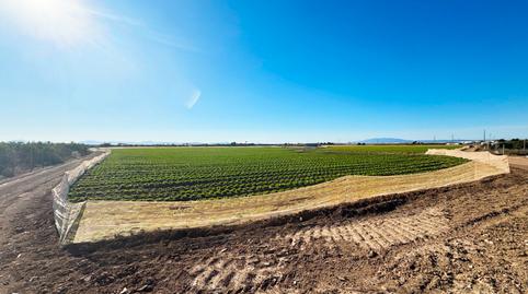 Photo 3 of Land for sale in Diseminado Meroños, 175, Mar Menor Golf, Torre-Pacheco