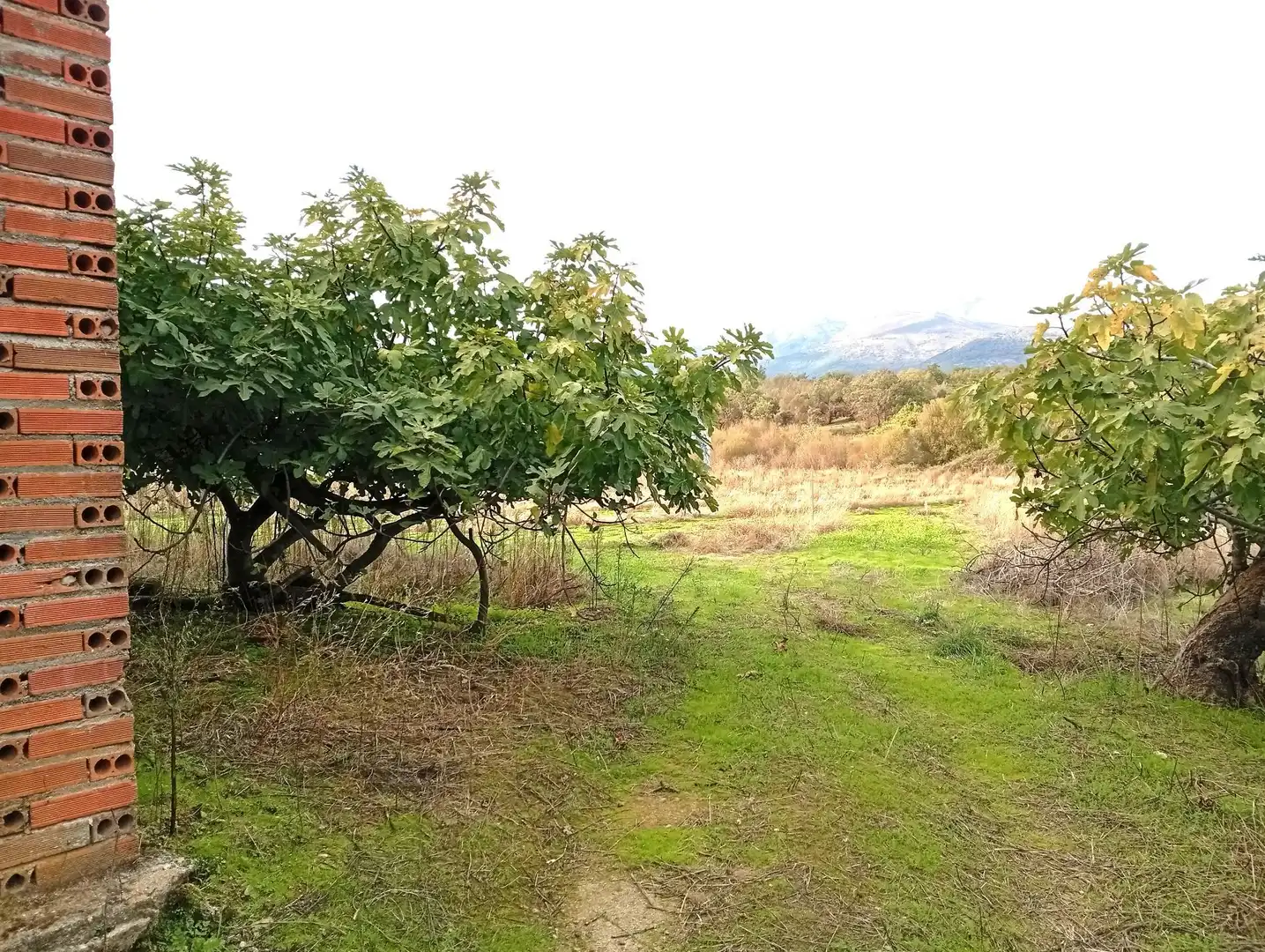 Terreni e lotti in vendita a Villanueva de la Vera, imagen 38