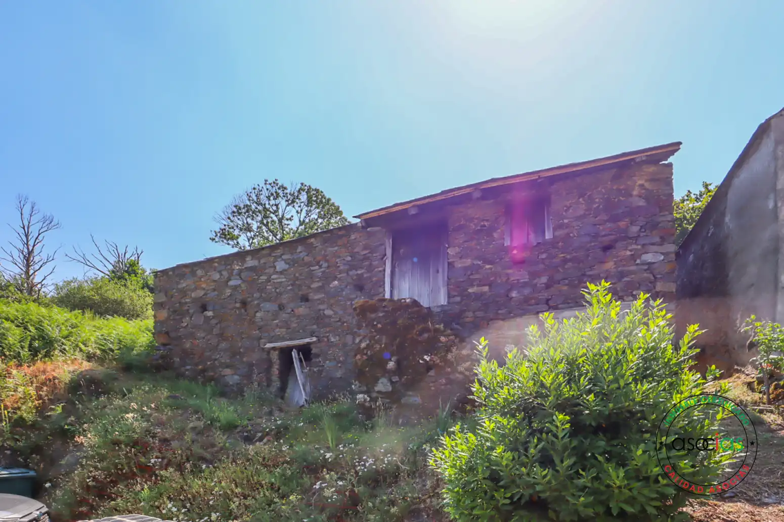 Vista exterior de Casa o xalet en venda en Ibias