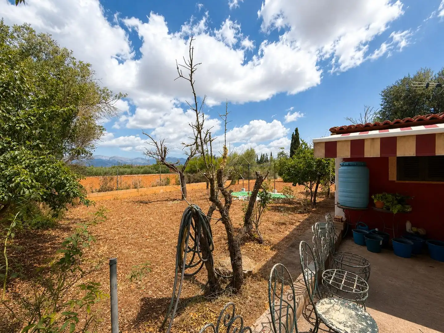 Jardín de Casa o chalet en venta en Santa Eugènia con Jardín privado y Terraza