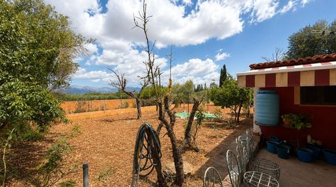 Foto 5 de Casa o xalet en venda a Diseminados Var, Santa Eugènia, Illes Balears