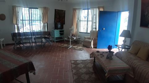 Photo 4 of Houses for sale in La Jara, Sanlúcar de Barrameda