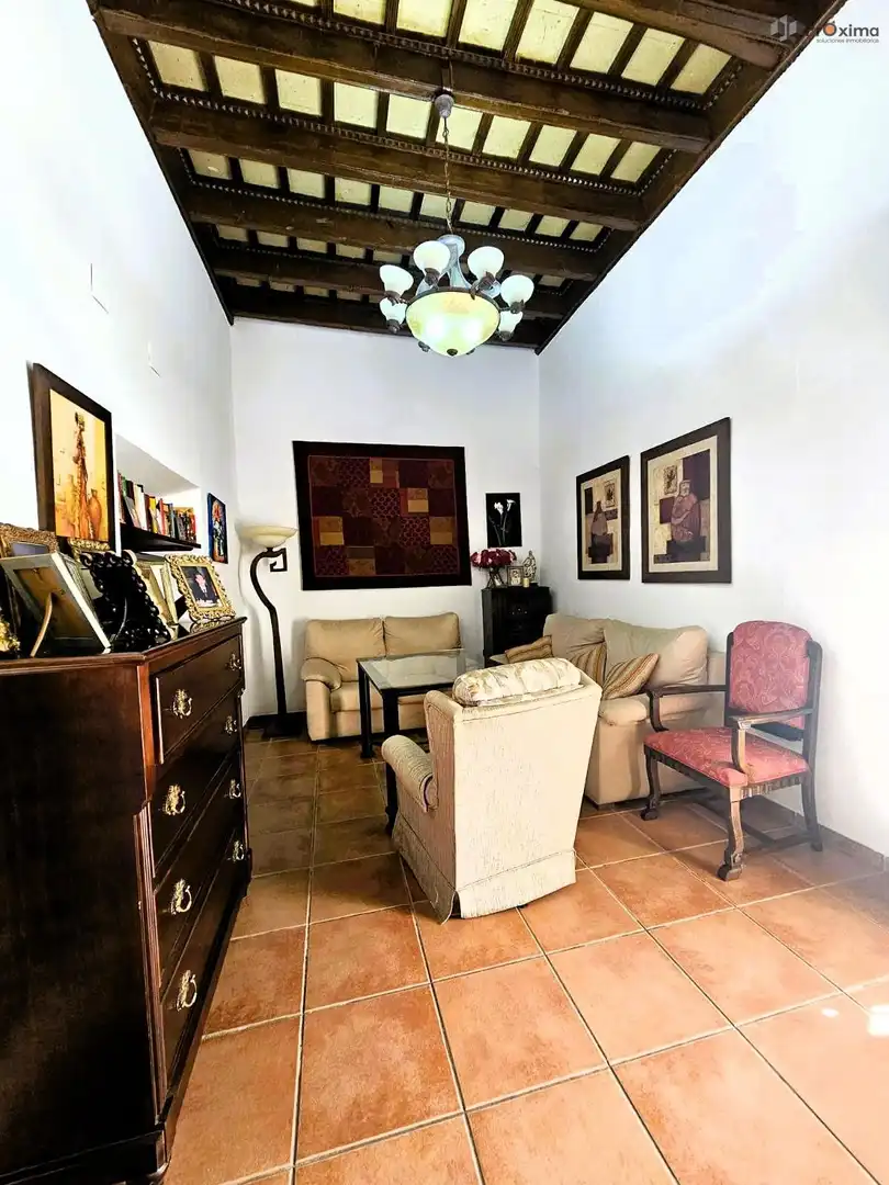 Sala d'estar de Casa o xalet en venda en Écija amb Aire condicionat