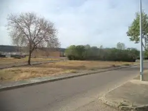 Terreny residencial en venda a Calle Castaño, imagen 5
