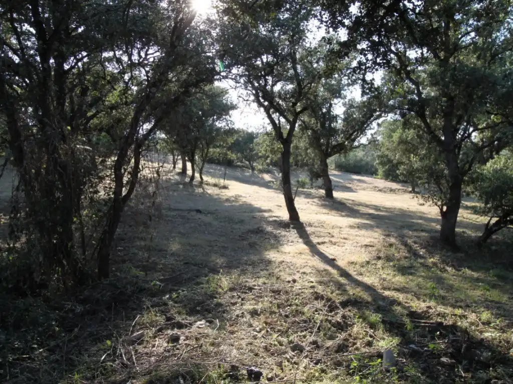 Residential land for sale in Ciudalcampo, imagen 5