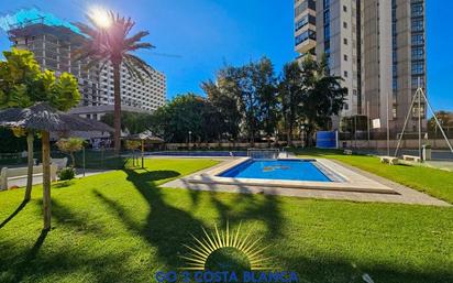 Swimming pool of Apartment for sale in Benidorm  with Terrace