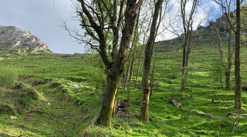 Foto 5 de Residencial en venda a El Rellano - la Pelada, Liérganes, Cantabria