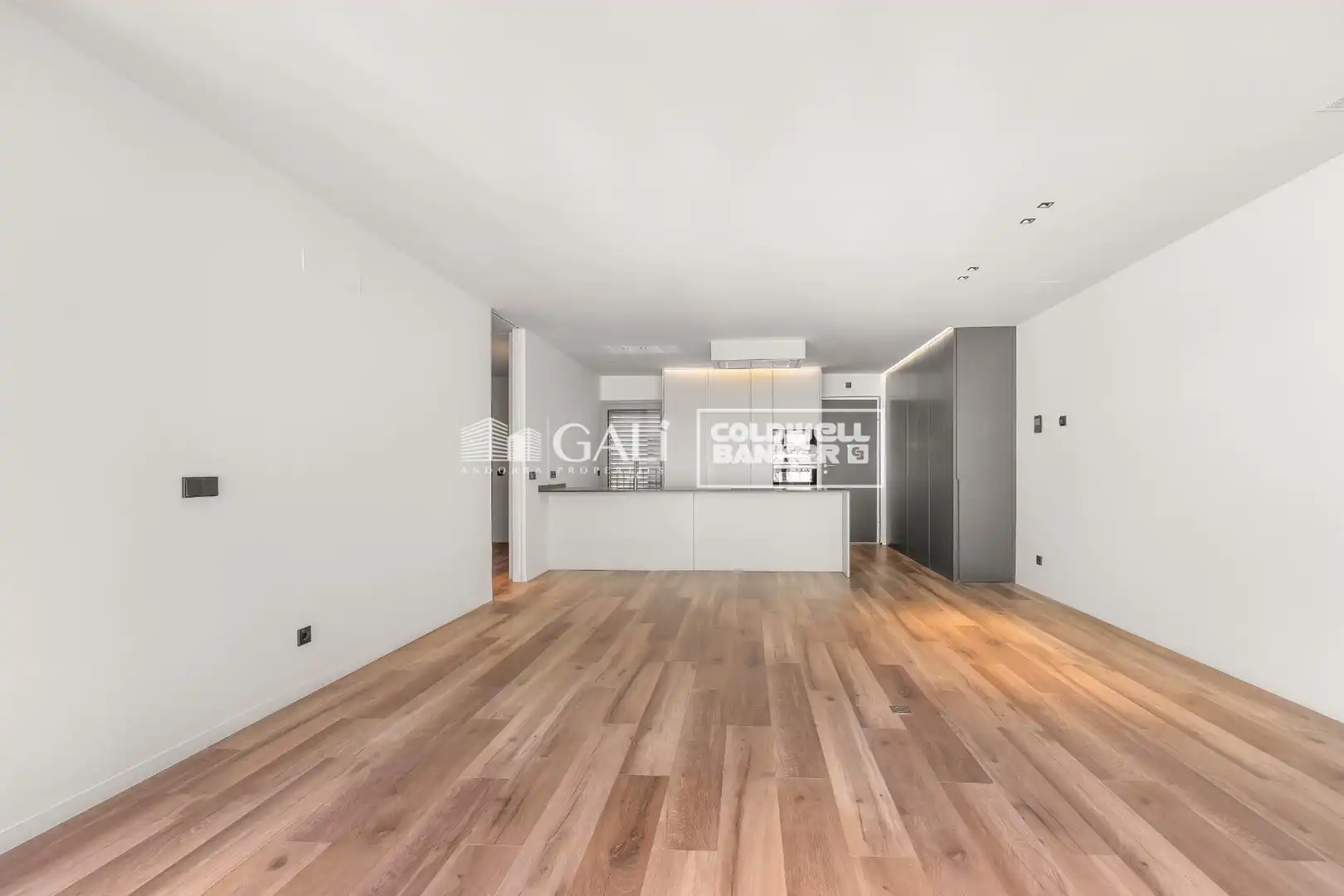 Living room of Flat for sale in Andorra la Vella  with Air Conditioner, Heating and Terrace