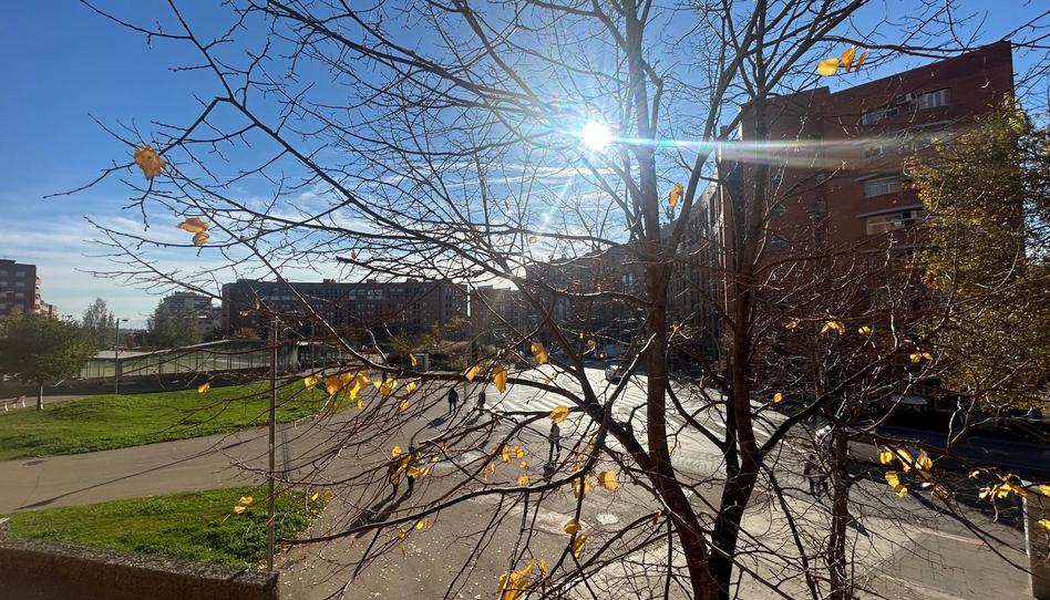 Photo 1 of Flat for sale in Ca n'Oriac, Barcelona