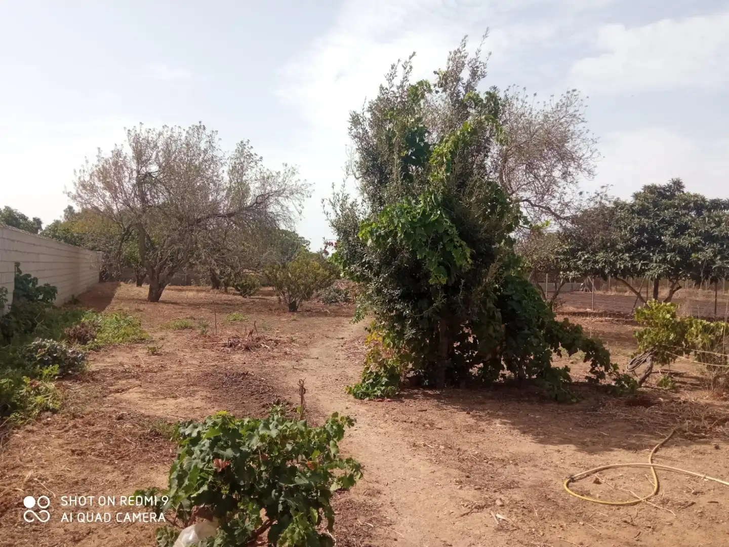 Casa o xalet en venda en Puerto Real amb Jardí privat, Piscina i Alarma