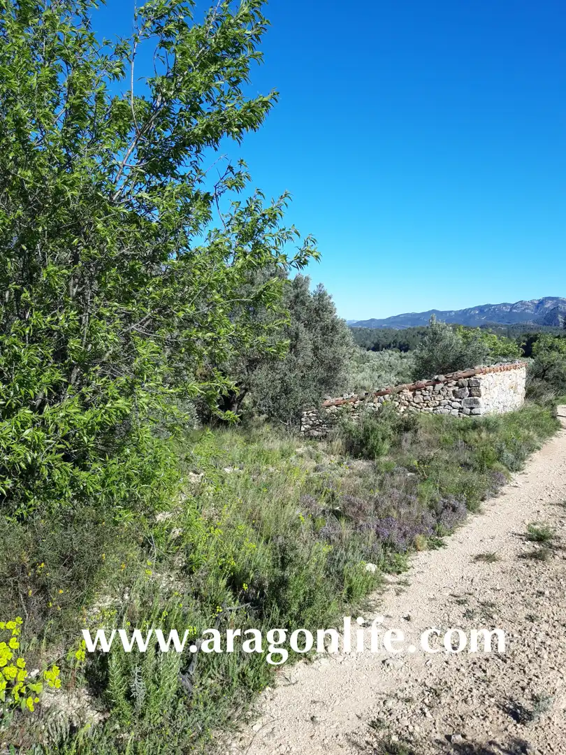 Rural land for sale in C-43, imagen 17